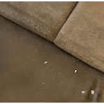 Professional Upholstery Cleaning